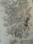 希望有绘画朋友加QQ230448