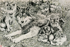 朴永哲钢笔淡彩画主力武器