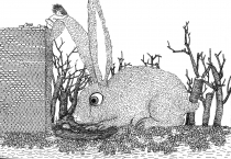 徐俊国漫画--悲伤眼泪