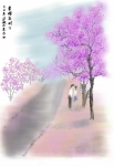 紫楹花树下