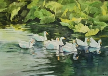河边游过一群鸭